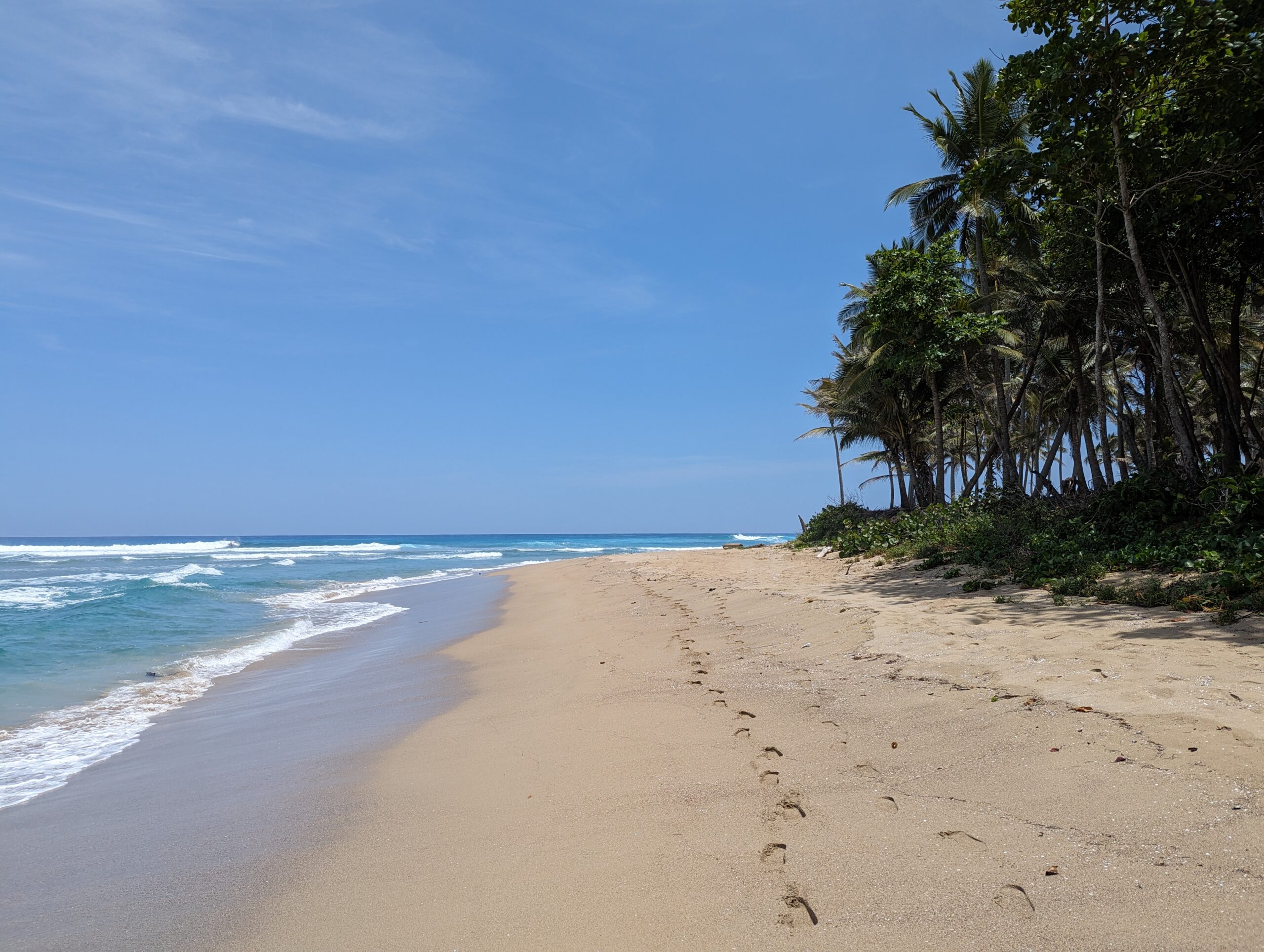 Dos Poco Locos - Dominican Republic