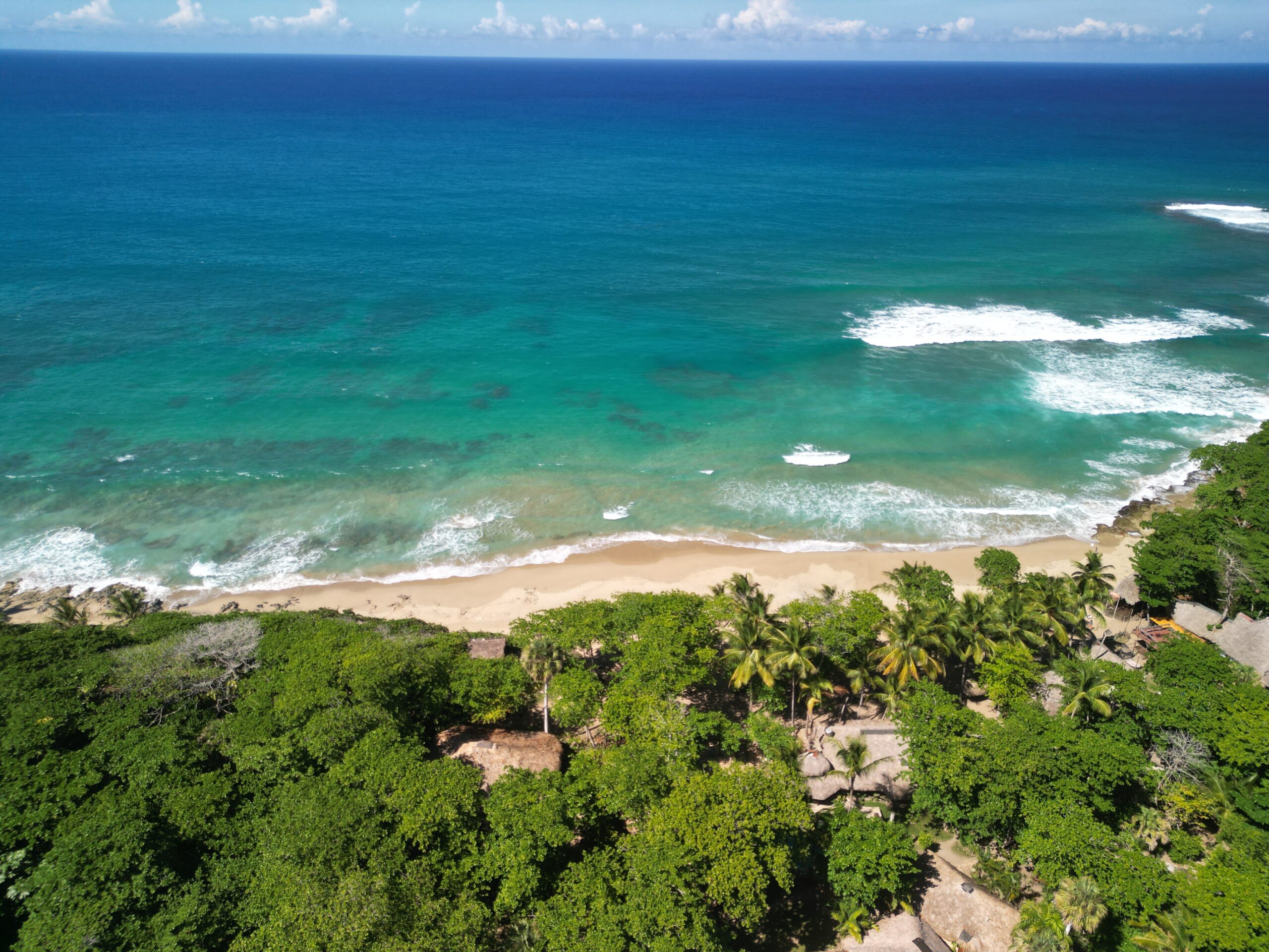 Dos Poco Locos - Dominican Republic